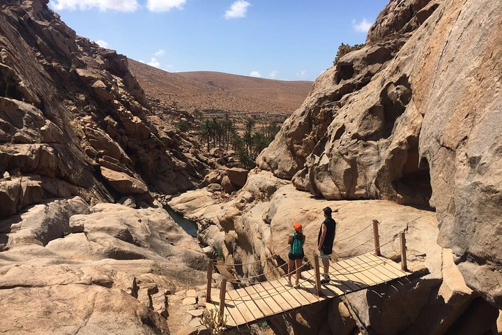 Fuerteventura South Exklusiv Tour