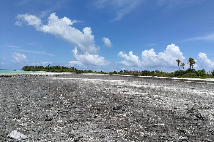 REEF ISLAND | privat ø | lyserødt sand | naturlige svømmebassiner