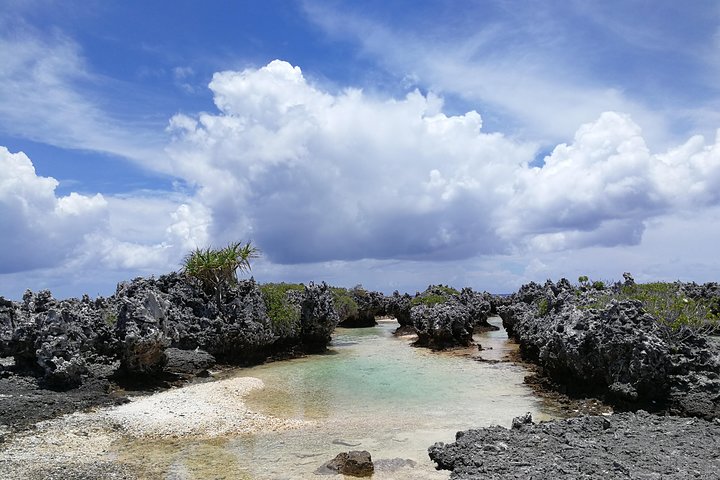 REEF ISLAND | privat ø | lyserødt sand | naturlige svømmebassiner