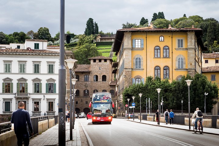 Excursion à terre de Livourne : Florence et Pise avec Académie et Tour
