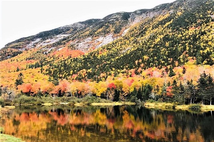 Excursion d'une journée de Boston au New Hampshire au feuillage d'automne dans les montagnes blanches
