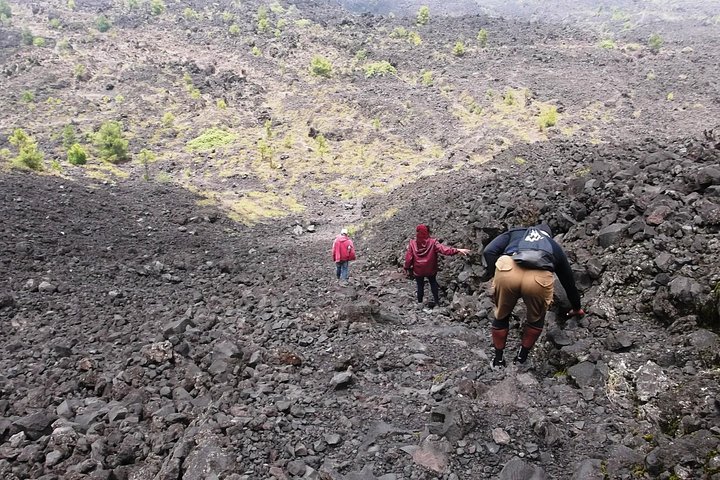 Paricutin Volcano Crater Private Tour