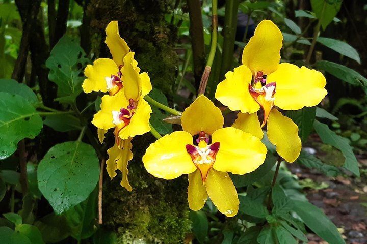 Papallacta Hot Springs : Entspannen Sie in Ecuadors Andengebirge
