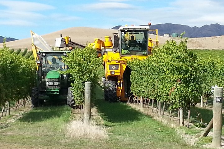 Waipara Wine Tour fra Christchurch - inkludert lunsj og smaksprøver