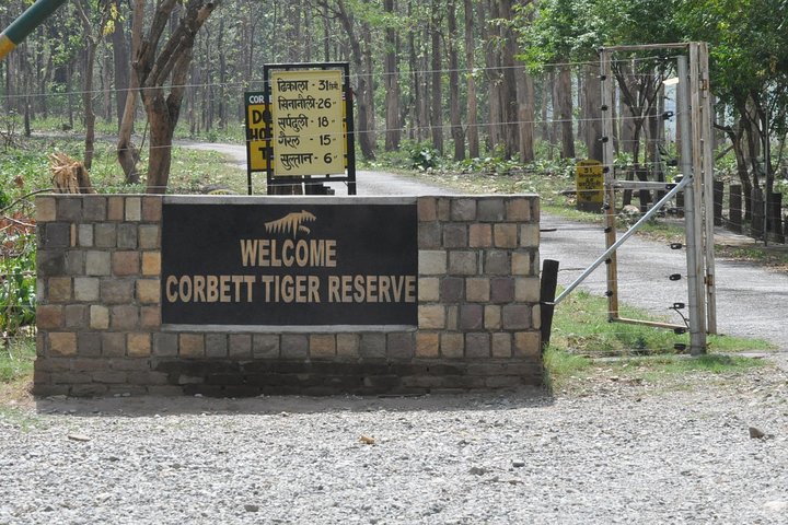 2 netter opphold i Dhikala Zone i Jim Corbett nasjonalpark