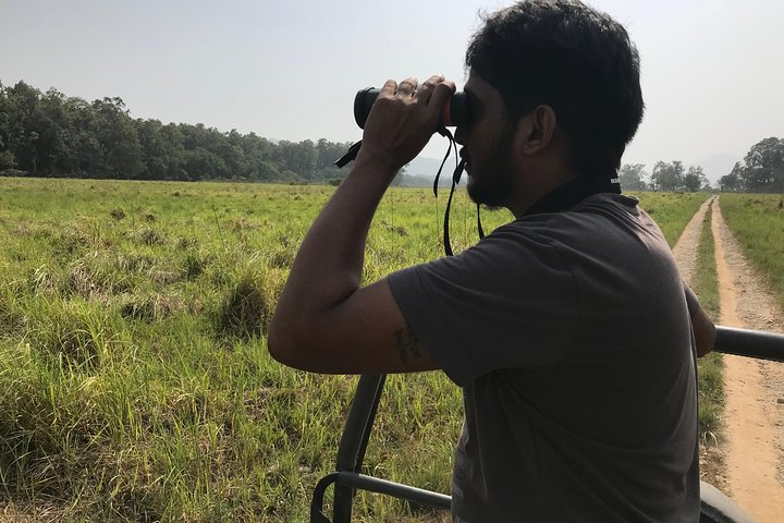 2 netter opphold i Dhikala Zone i Jim Corbett nasjonalpark