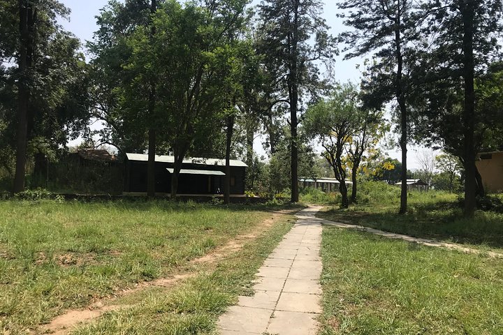 2 netter opphold i Dhikala Zone i Jim Corbett nasjonalpark