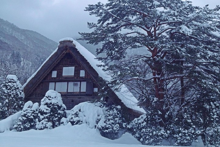 [Visite en bus d'une journée au départ de la gare de Kanazawa] Visite de Shirakawa-go/Takayama en bus Platinum Route