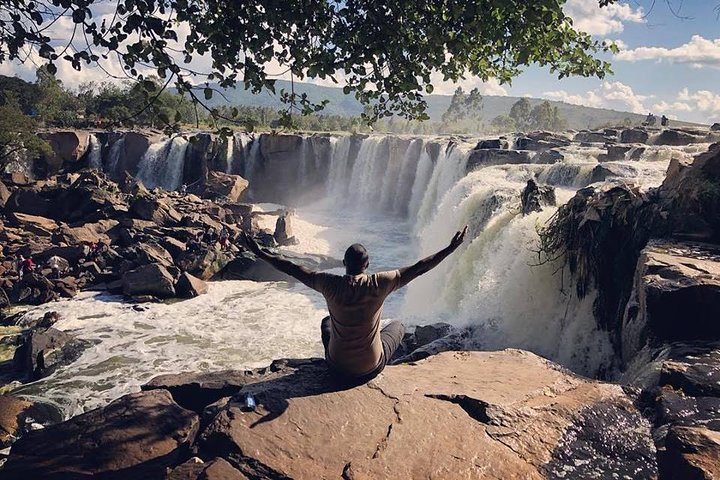 Vida selvagem e natureza em Nanyuki