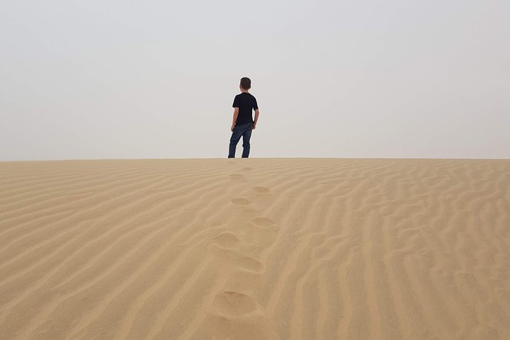 Doha :Half Day Desert Safari | Camel Riding | ATV | Sand Surfing