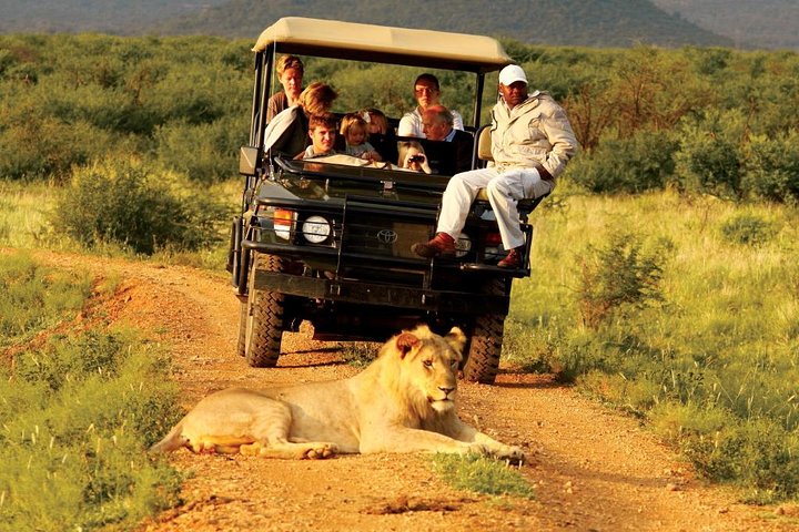Madikwe Game Reserve Day Tour (Mindestteilnehmerzahl pro Buchung: 5 Personen)