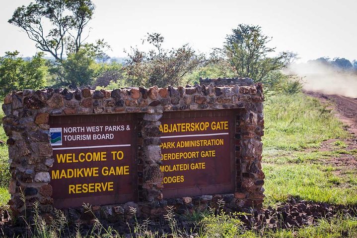 Madikwe Game Reserve Day Tour (Mindestteilnehmerzahl pro Buchung: 5 Personen)