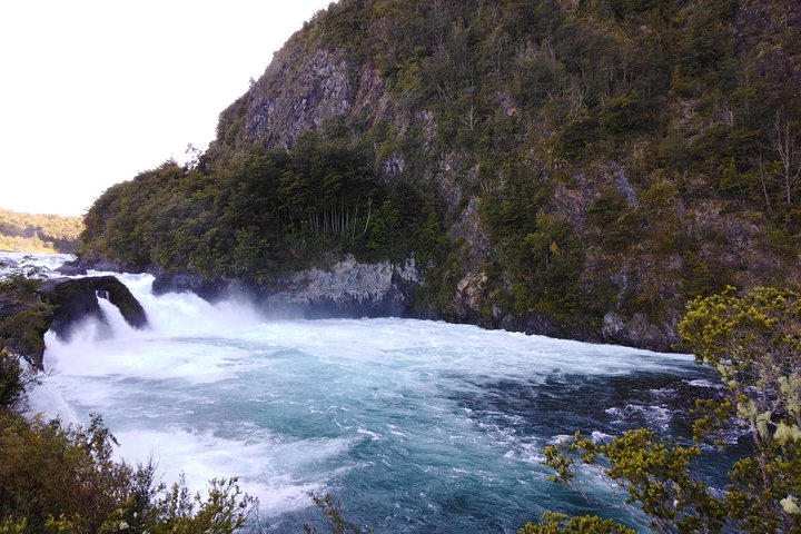 Privat dagstur Petrohue Falls, Osorno Volcano & Puerto Varas