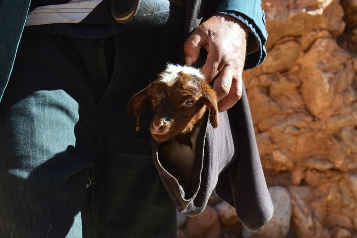 Senderismo por el Valle de las Rosas y el Dades, Marruecos