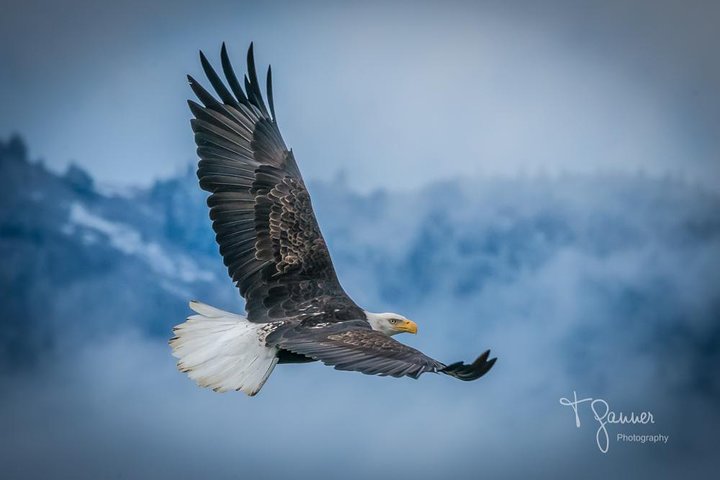 Foco na excursão privada pela natureza / fotografia de Haines