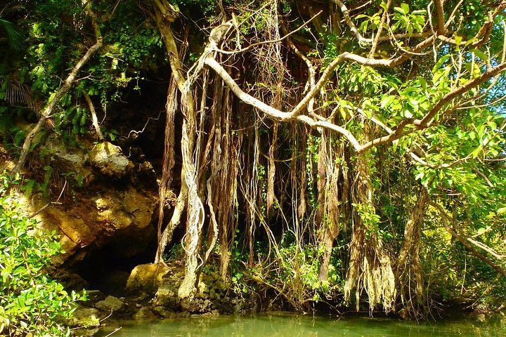 Mangrovekajakken om te genieten van de natuur in Okinawa