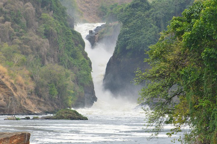 Affordable 2 days Murchison Falls and Wildlife Game Viewing