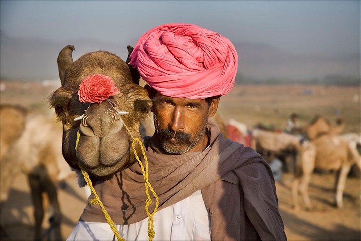 Trasferimento privato di sola andata da Pushkar a Jaipur in veicolo a corrente alternata
