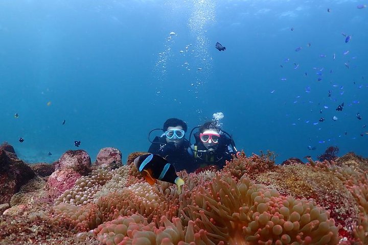Buceo (buceo recreativo)