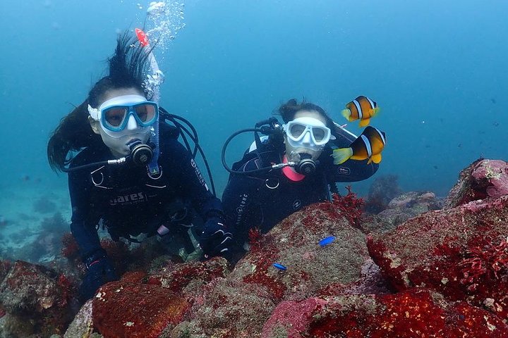Buceo (buceo recreativo)