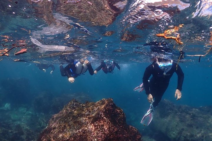 Buceo (buceo recreativo)