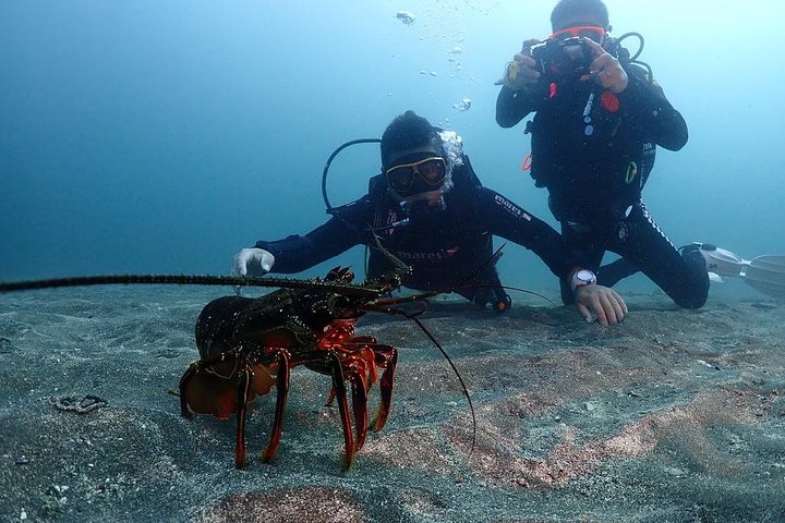Buceo (buceo recreativo)