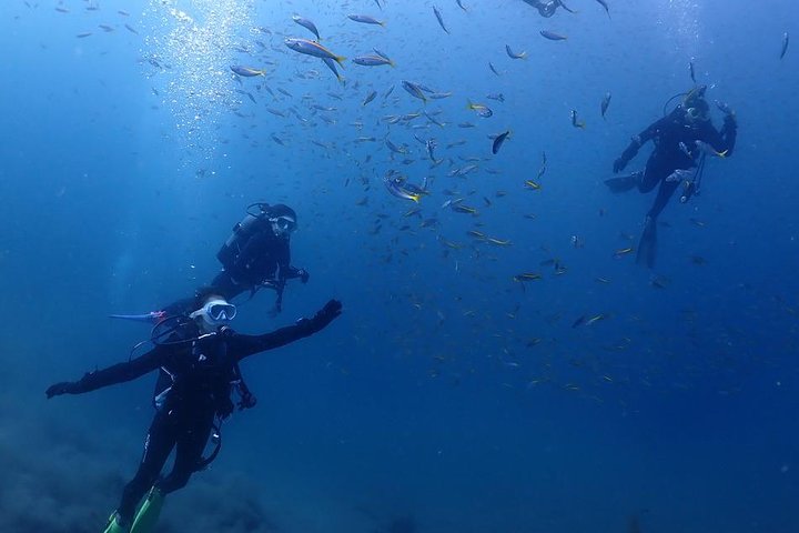 Buceo (buceo recreativo)