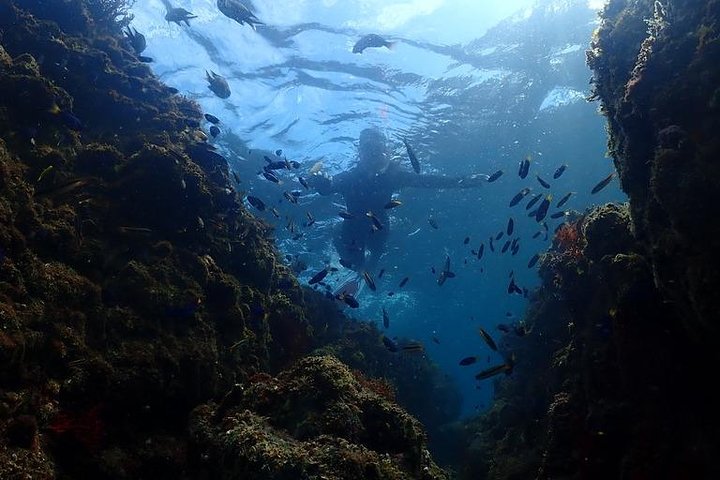 Buceo (buceo recreativo)