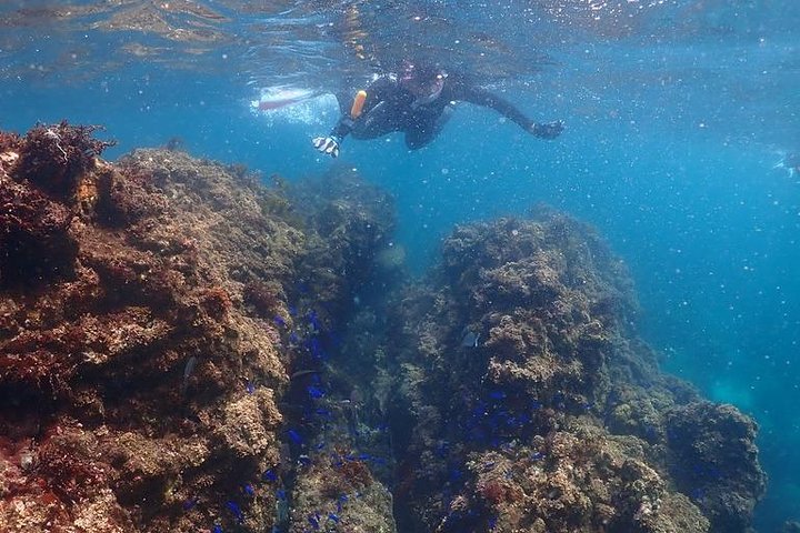 Buceo (buceo recreativo)