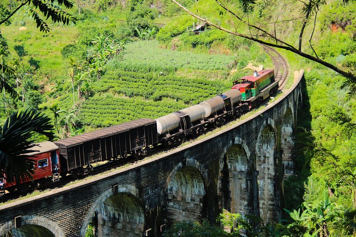 Tour di 8 giorni in Sri Lanka con autista privato e alloggi