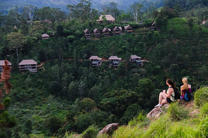 Tour di 8 giorni in Sri Lanka con autista privato e alloggi