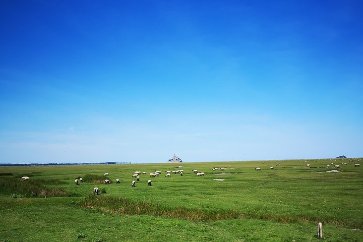 Mont Saint-Michel Excursão de um dia a partir de Bayeux (Tour Compartilhado)