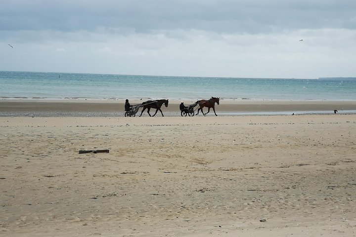 Middagtrip van een halve dag naar de stranden van Normandië vanuit Bayeux (A2)