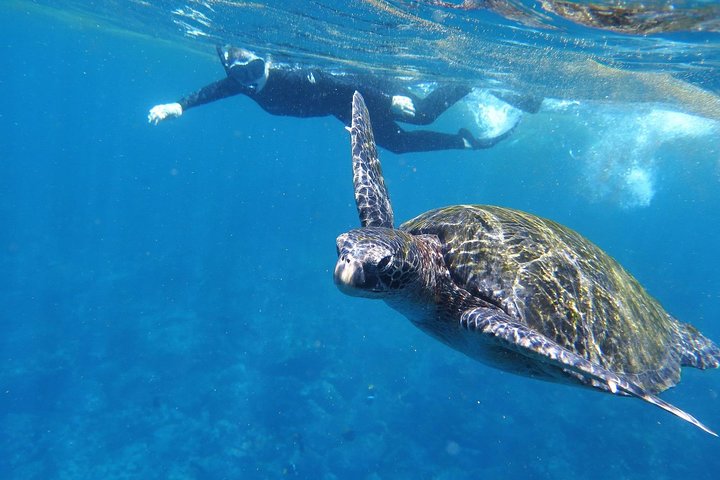 Dagstur til Santa Fe Island og Hidden Beach med snorkling og fiskeri