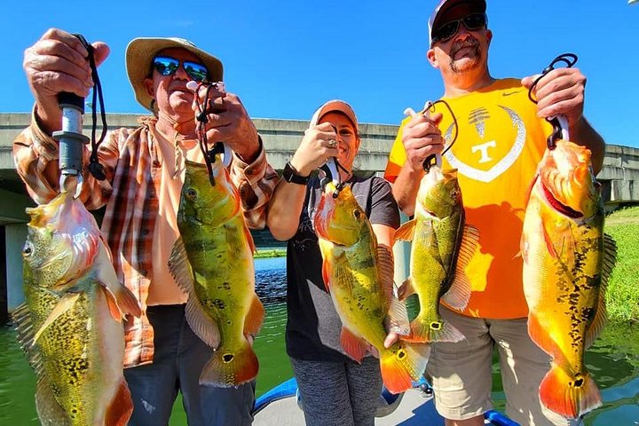 Private Peacock Bass Fishing Charter i nærheten av Boca Raton