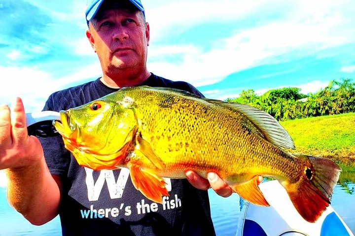 Private Peacock Bass Fishing Charter i nærheten av Boca Raton