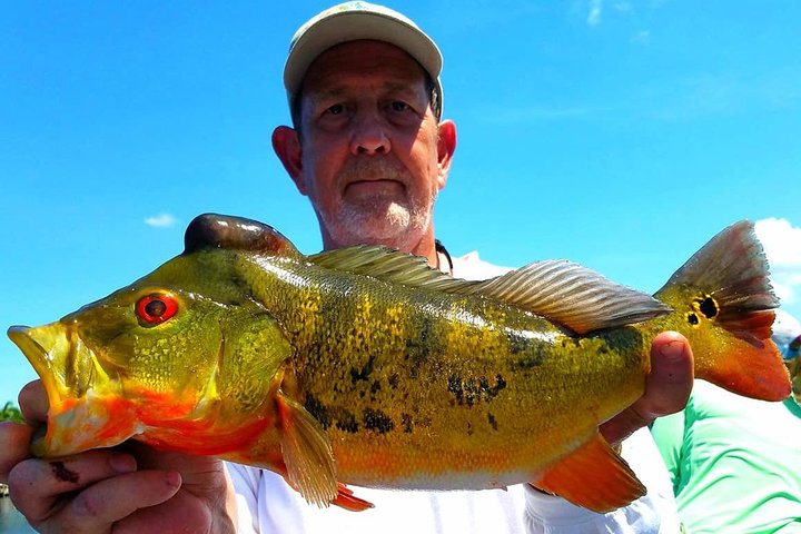 Private Peacock Bass Fishing Charter i nærheten av Boca Raton