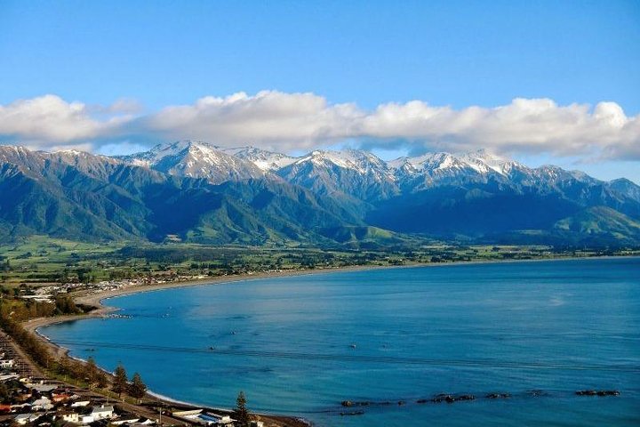 Kaikoura svømme med delfiner tur fra Christchurch