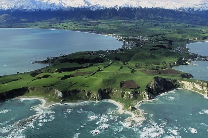 Kaikoura svømme med delfiner tur fra Christchurch