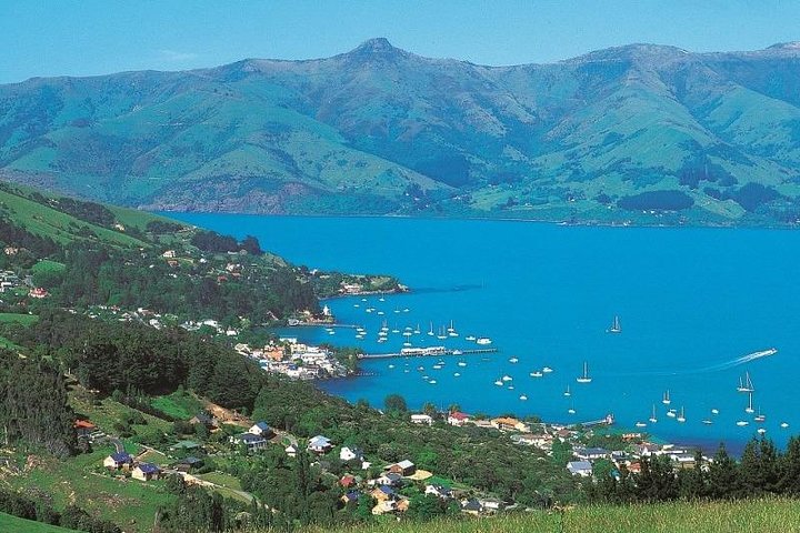Akaroa heldags sightseeingtur fra Christchurch