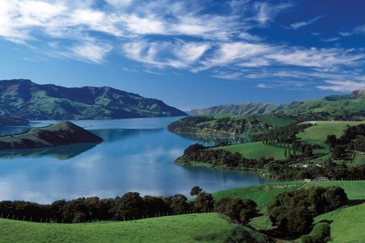 Akaroa heldags sightseeingtur fra Christchurch