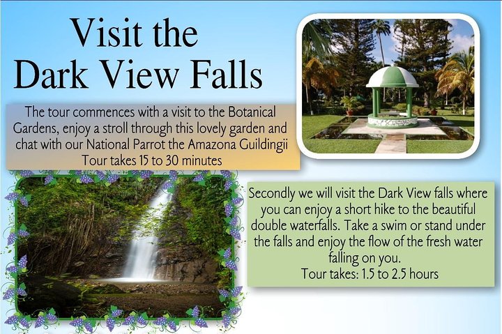 Tour por las cataratas Dark View con Trubb Taxi Tours SVG
