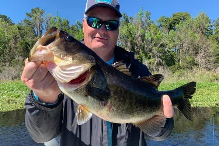 Hoteller i nærheden af Private Rodman Reservoir Bass Charter