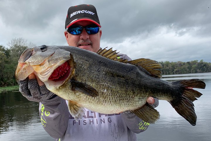 Hoteller i nærheden af Private Rodman Reservoir Bass Charter