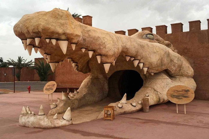 Agadir 3 - in - 1 Tour : Capre sugli alberi Souk El Had Crocoparc Biglietti