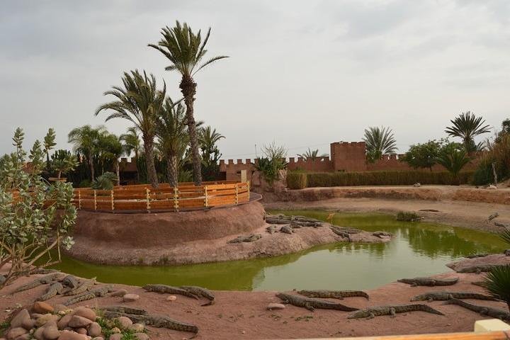 Agadir 3 - in - 1 Tour : Capre sugli alberi Souk El Had Crocoparc Biglietti