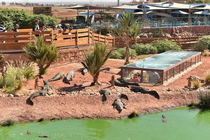 Agadir 3 - in - 1 Tour : Capre sugli alberi Souk El Had Crocoparc Biglietti