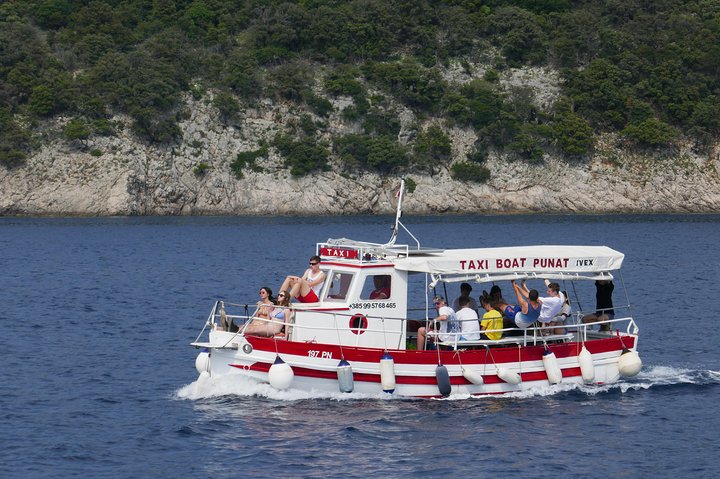 Excursion privée d'une demi-journée en bateau sur l'île Plavnik avec le capitaine. Bobo