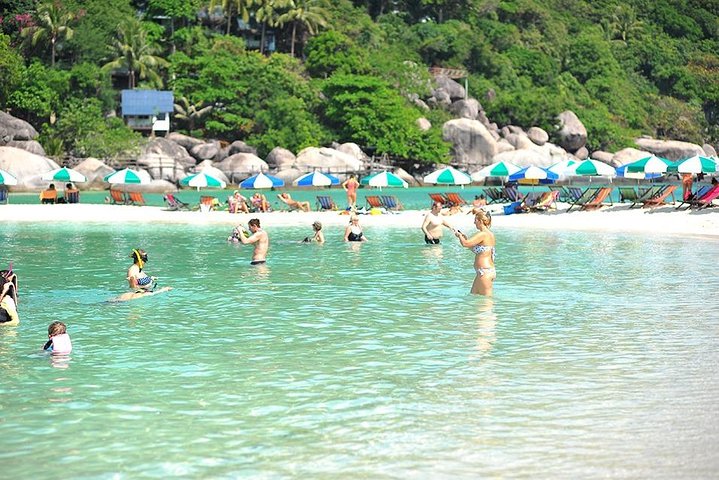 Koh Tao og Koh Nang Yuan Speedboat Tour fra Koh Phangan