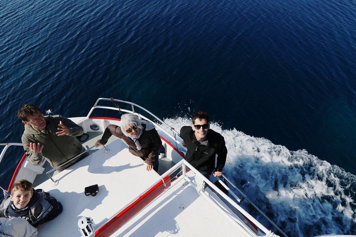 Excursion privée d'une demi-journée en bateau sur l'île Plavnik avec le capitaine. Bobo